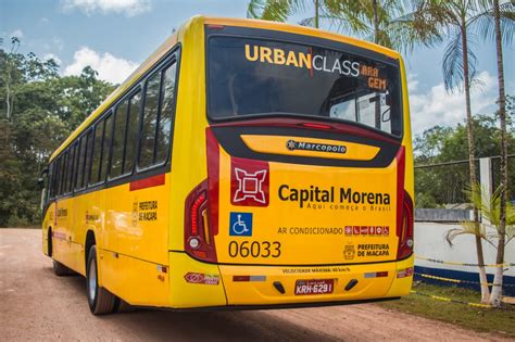 Prefeitura De Macapá Recebe Novos ônibus Para Renovação Da Frota De Transporte Público Da