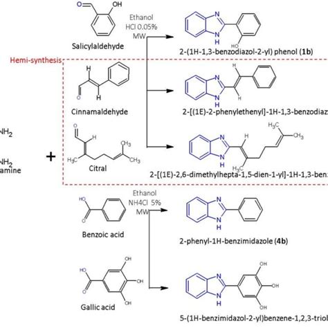 Synthesis Procedure And Chemical Structure Of Synthesized Molecules