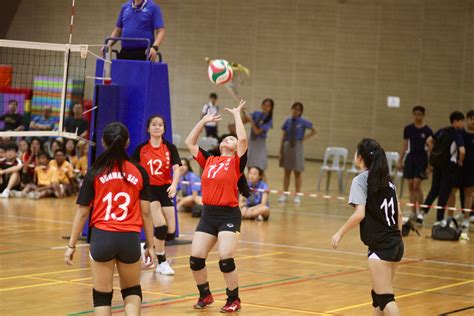 Volleyball