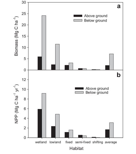 Comparison Of Above And Belowground Biomass Carbon Storage A And Npp