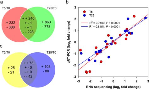 Differentially Expressed Genes Degs Or Proteins Deps Between T5 And