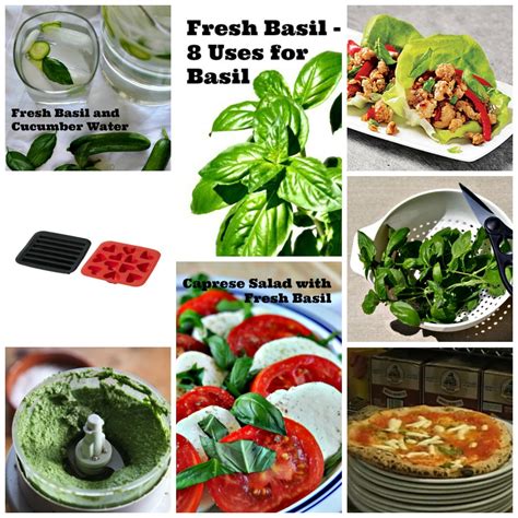 Fresh Basil - 8 Uses for Basil - Today’s Mama - Parenting Tips, Family Travel, Food, Tech ...