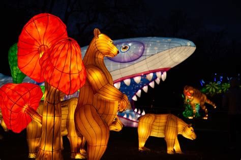 Winter Lantern Festival in New York Snug Harbor, Lantern Festival ...