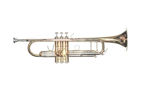 Trumpets — Rs Berkeley Musical Instruments