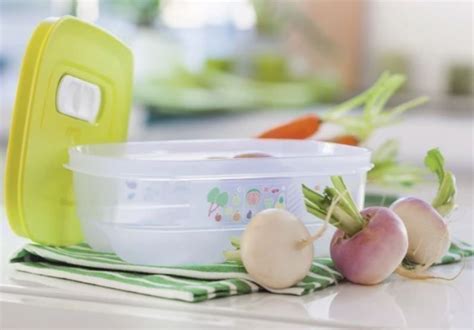 Ventsmart Plus Tupperware Kaufen Auf Ricardo