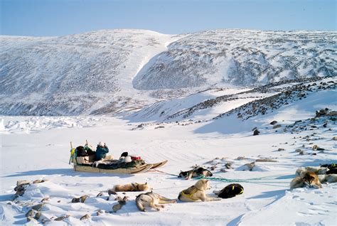 Voyage Au Groenland Chez Les Inuit De Qaanaaq La Nouvelle Thul