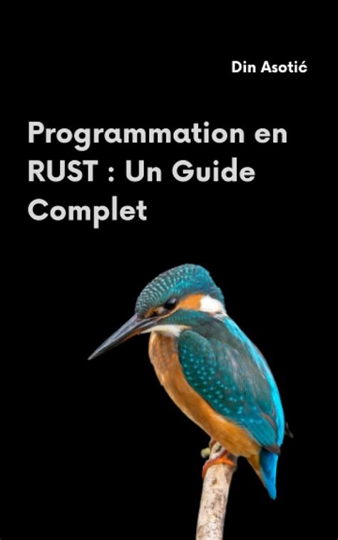 Programmation En Rust Un Guide Complet Manuel Pratique Pour