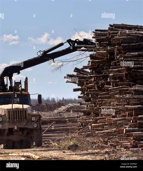 Operations for loading a logging truck Stock Photo - Alamy