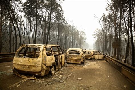 Visão Incêndio De Pedrógão Grande Provocado Por Descarga Elétrica E O