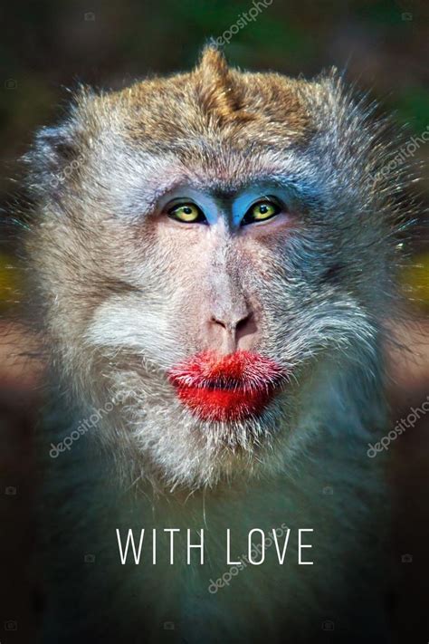 Funny monkey with a red lips — Stock Photo © watman #70252561