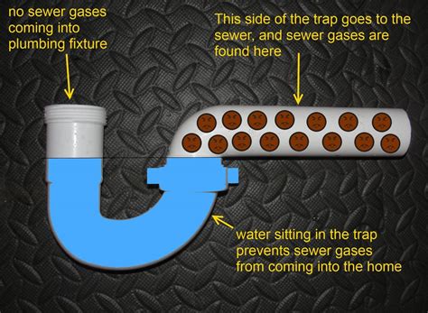 Floor Drain Basics