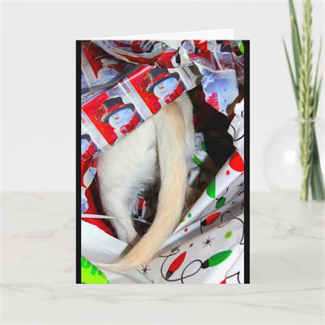 The Tail End Of Another 365 Days New Year Card | Zazzle