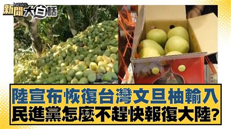 陸宣布恢復台灣文旦柚輸入 民進黨怎麼不趕快報復大陸？ 新聞大白話tvbstalk 20240429 Youtube