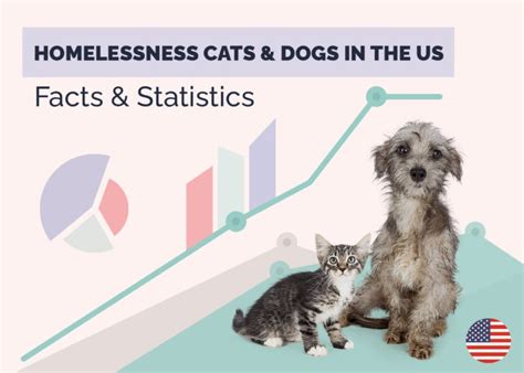 How Many Homeless Cats & Dogs Live in the US? 2025 Statistics Update | Hepper