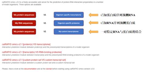 Rna 蛋白互作预测神器catrapid 哔哩哔哩