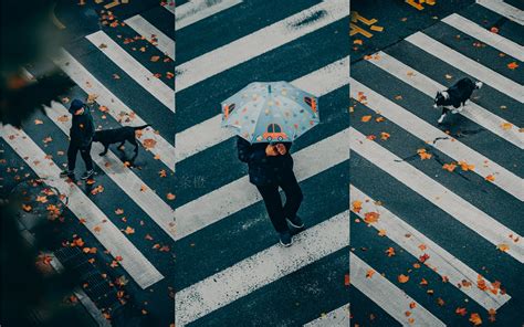 合肥扫街vlog第一视角深秋雨雾中的老城区街头 哔哩哔哩