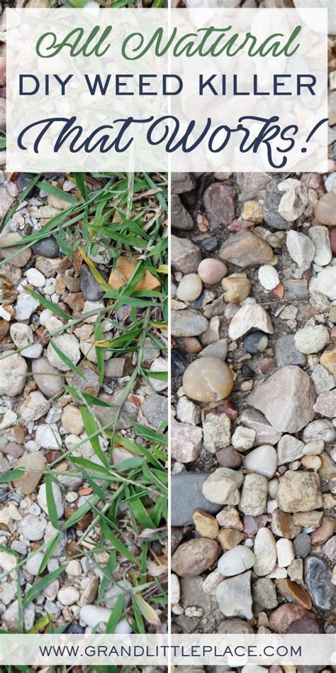 How to make a homemade weed killer safe for pets – Artofit