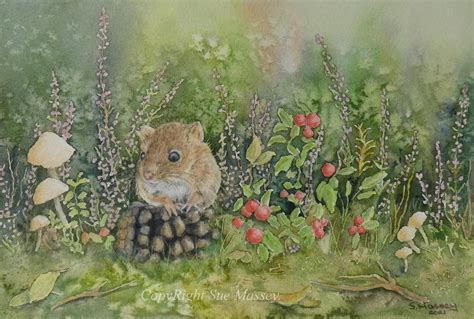 The Harvest Mouse By Suemart On Deviantart