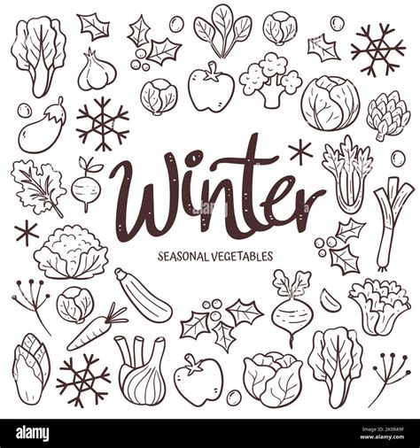 Seasonal Vegetables Background Hand Drawn Winter Vegetables