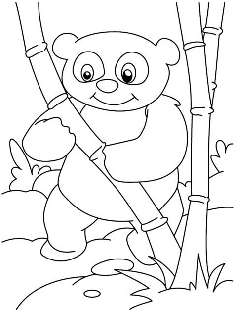 Desenhos De Panda Para Colorir Dicas Pr Ticas