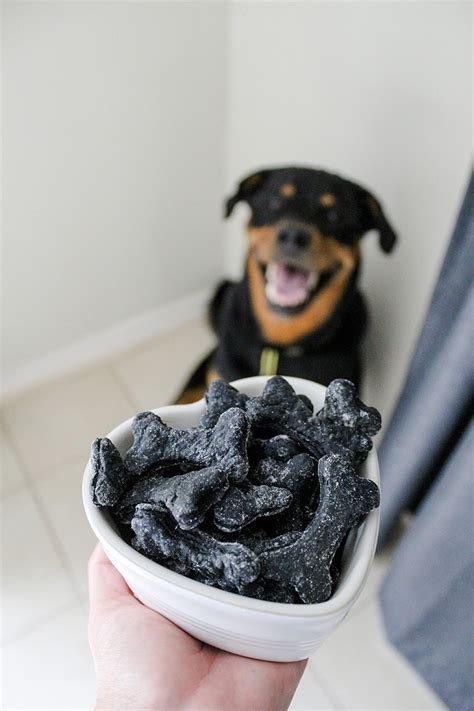 Activated Charcoal Dog Treats - An Update - Stylish Paws