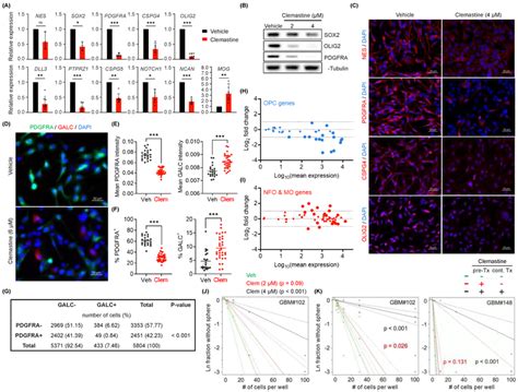 Clemastine Attenuates The Stemness And Progenitor Cell Features Of