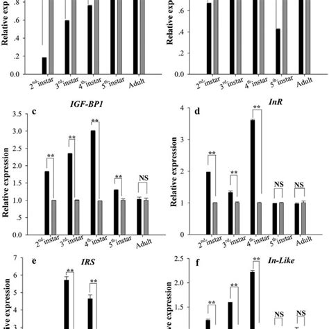 Relative Expression Levels Of Genes Related To Ecdysone In Different