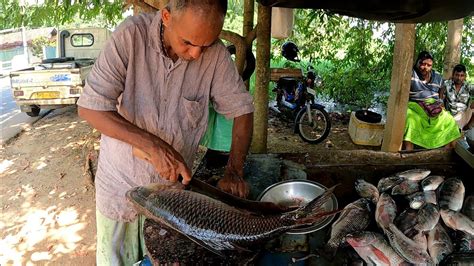 Amazing Cutting Big Rohu Fish Cutting Skills In Sri Lankan Village