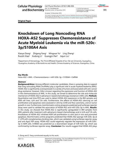 Pdf Knockdown Of Long Noncoding Rna Hoxa As Suppresses