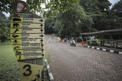 Taman Margasatwa Ragunan Saat Ppkm Antara Foto