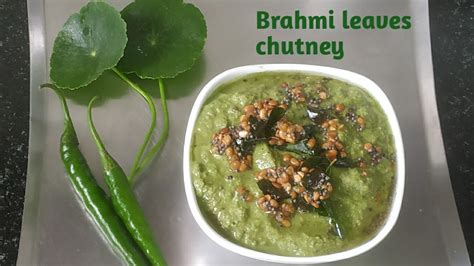 Brahmi Leaves Chutney Youtube