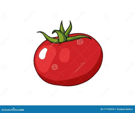 Tomate Fresco Icono Del Vector De Dibujos Animados Aislado En Blanco