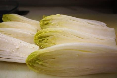 Tips For How To Grow Endive Lettuce | Gardening Know How