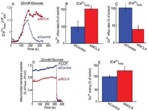 Nclx Mediates Glucose Dependent Mitochondrial Ca 2 Transport And