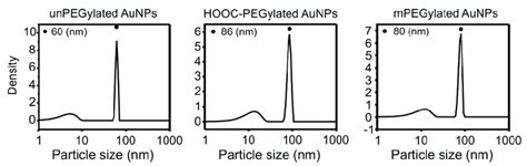 Dls Size Distributions Of Colloidal Aunps Unpegylated Left And After Download Scientific