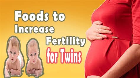 Foods To Increase Fertility For Twins Top Foods For Increasing Your