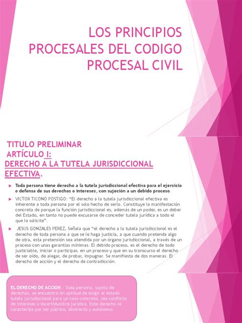 Los Principios Procesales Del Codigo Procesal Civil Pdf