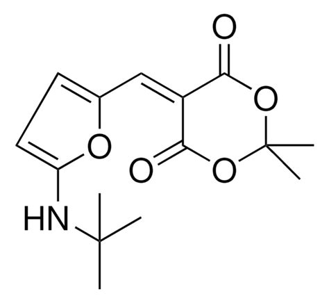 5 5 Tert Butylamino 2 Furylmethylene 22 Dimethyl 13 Dioxane 46