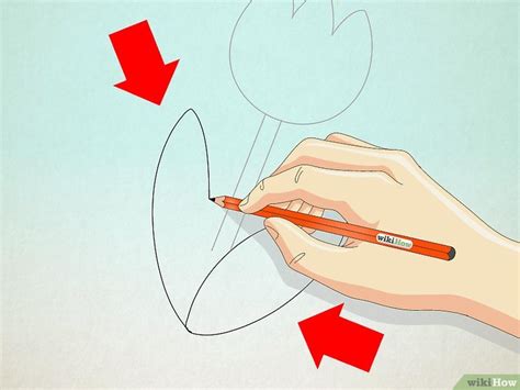 Come Disegnare Un Tulipano 10 Passaggi Con Immagini