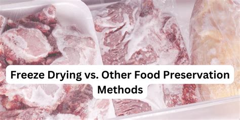 Freeze Drying Vs Other Food Preservation Methods Freeze Dryer