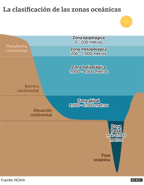 Qu Es El Reino Abisal El Ecosistema Menos Conocido De La Tierra Que