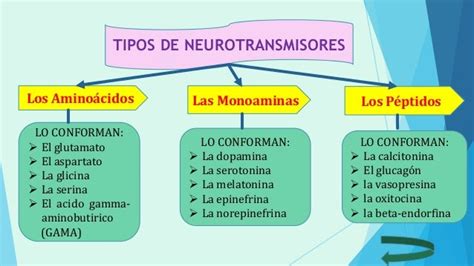 Los Neurotransmisores