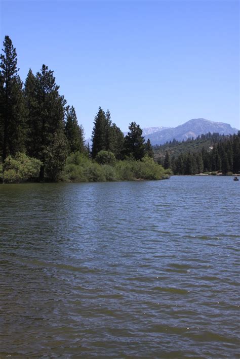 Is There Fishing At Hume Lake Trickyfish