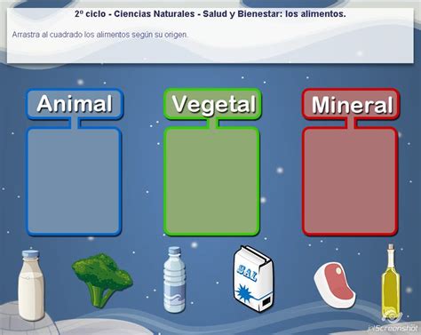 Juegos De Ciencias Naturales Para Niños De Primaria - Tengo un Juego