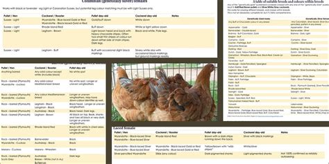 Sex Linked Breeding In Poultry Part 4 By Fiona