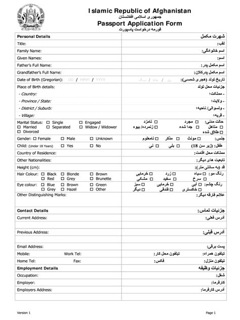 Passport Online Form Fill Out Sign Online DocHub