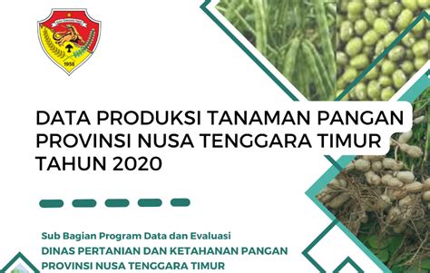 Data Produksi Tanaman Pangan Provinsi Ntt Tahun 2020 Dinas Pertanian