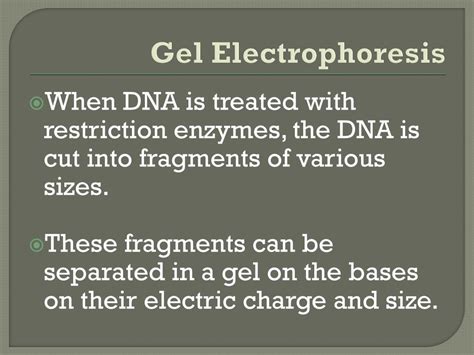 Ppt Biotechnology Powerpoint Presentation Free Download Id2665020