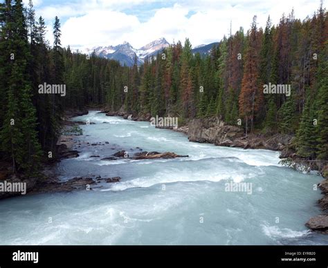 Athabasca river alberta hi-res stock photography and images - Alamy