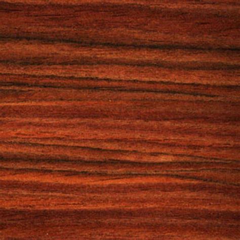 Guitar Tonewoods Guide Which Wood Is Best For Your Guitar